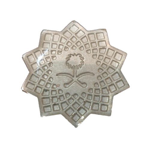 باج الرؤية سلفر مغناطيس