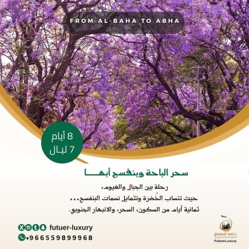 رحلة بين السحاب