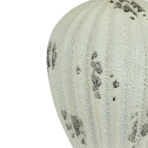 ابجورة هولايت