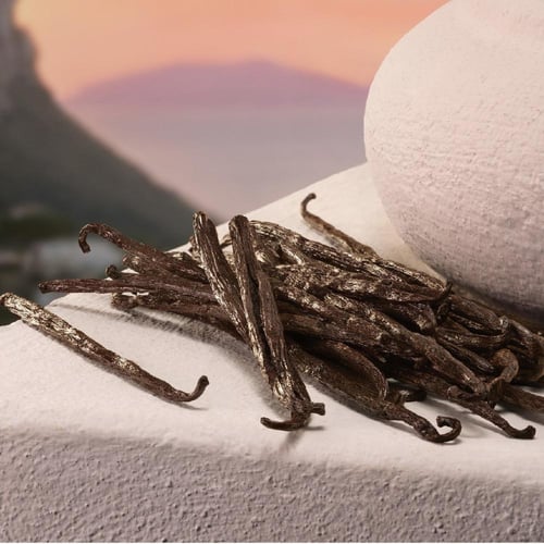 دولتشي اند جابانا ماي ديفوشن او دي بارفيوم اينتنس...