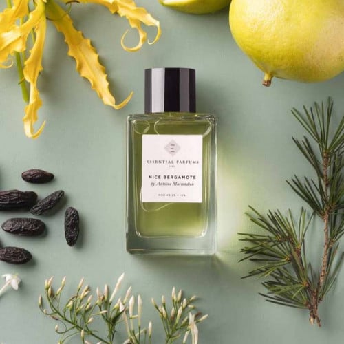 اسنشيال بيرفيوم نايس برغموت 100 مل