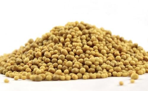 حبيبات سماد بطئ التحلل npk