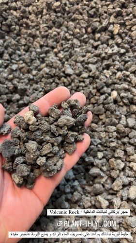 حجر بركاني لنباتات الداخلية - Volcanic Rock