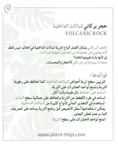 حجر بركاني لنباتات الداخلية - Volcanic Rock