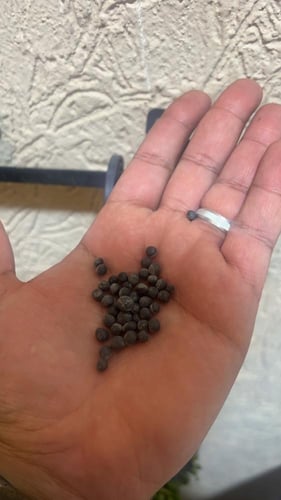 Aquarium Soil Powder - تربة حوض أسماك