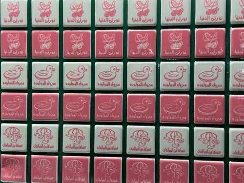 ترانسفير - مواليد