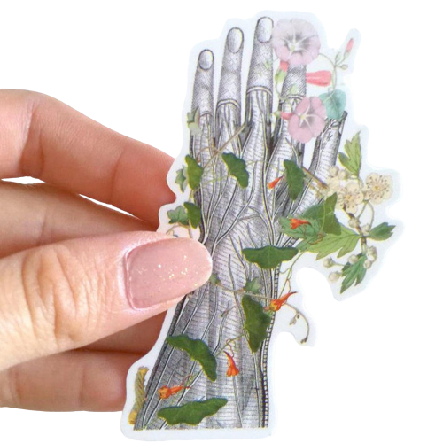 ملصق تشريح اليد