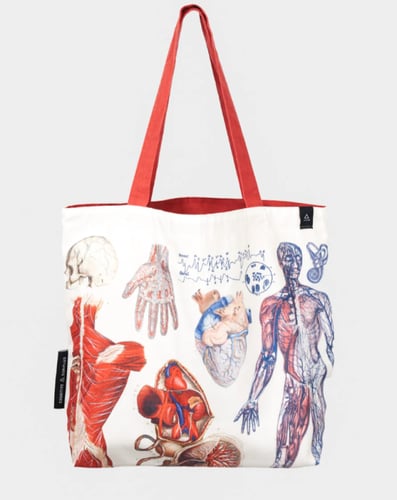 Human Anatomy bag