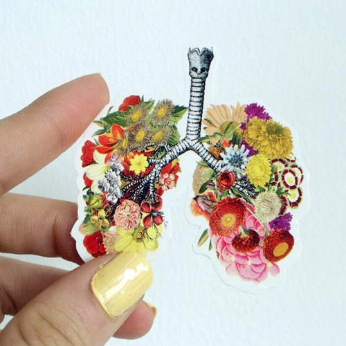 ملصق الرئتين