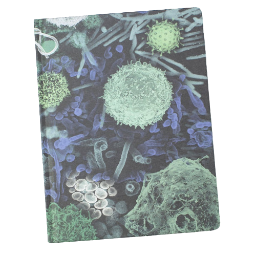 دفتر الامراض المعديه