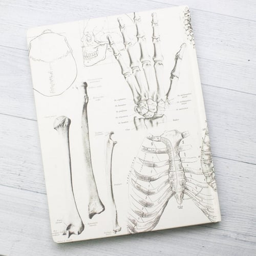 دفتر العظام