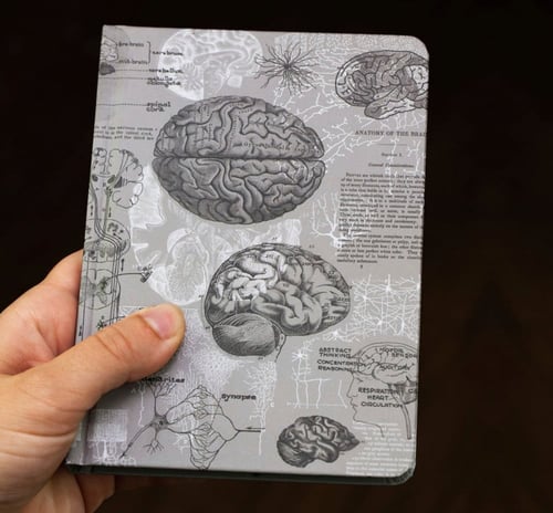 دفتر الدماغ