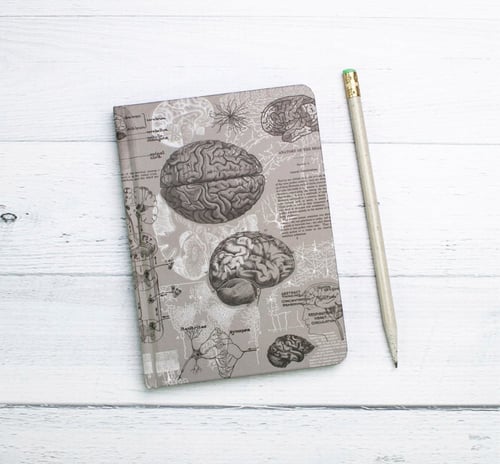 دفتر الدماغ