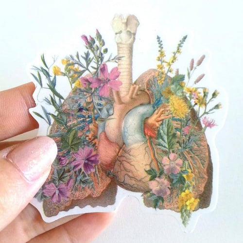 ملصق الرئتين