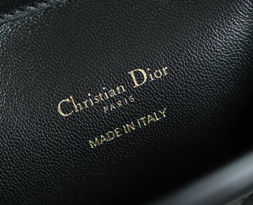 Dior jolit top handle