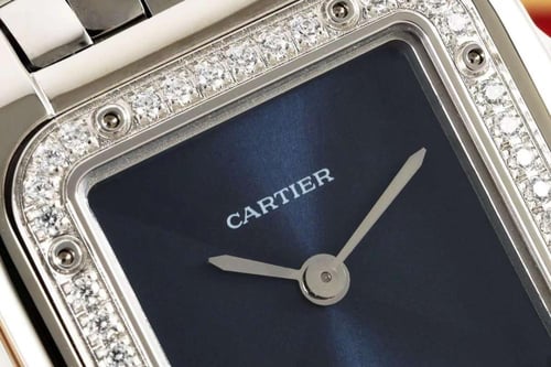 ساعة كارتير سمول 22 mina