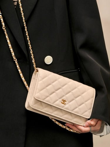 شانيل woc wallet