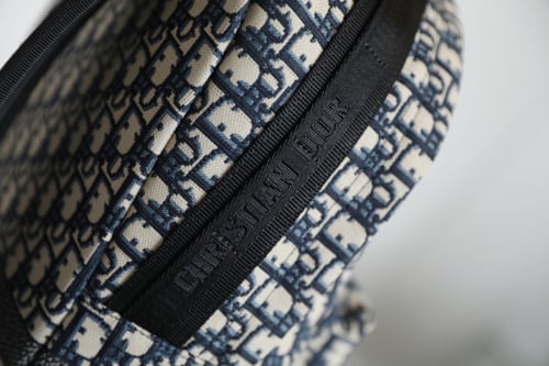 شنطة ظهر ديور