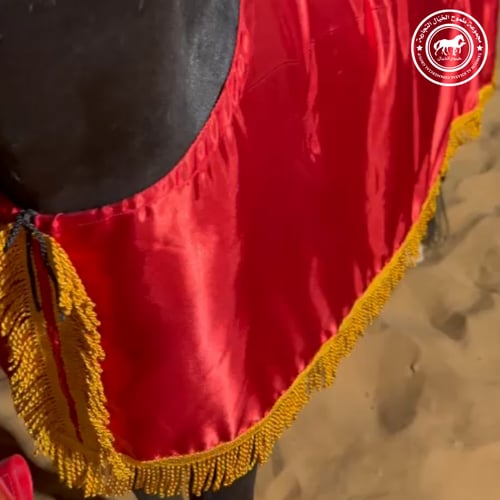 جلال زينه حرير للخيل