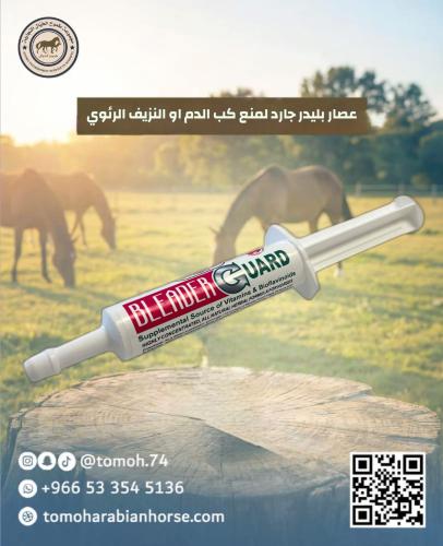 BLEADER GUARD 30G