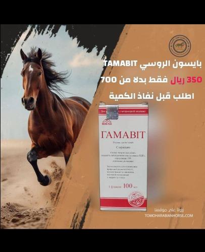 بايسون الروسي TAMABIT
