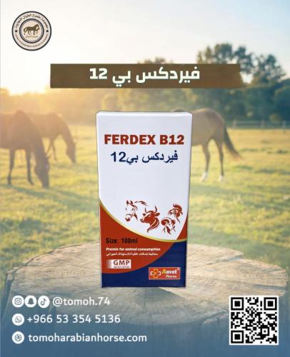 FERDEX B12 100ml