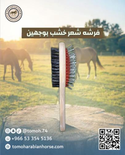 فرشة شعر خشب بوجهين