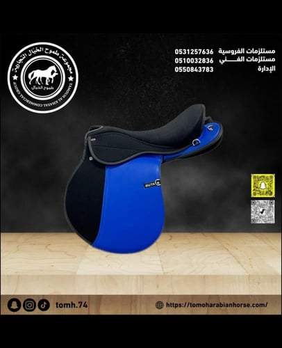 سرج استيتوس