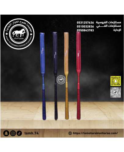 كرباج سباق EASY RIDR