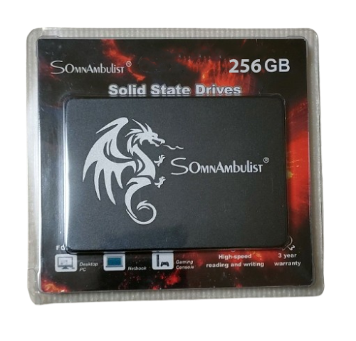 هارد داخلي Somnambulist SSD 256GB