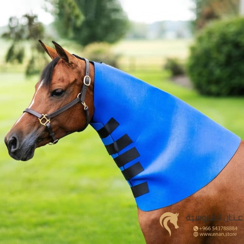 عراقة تنحيف العنق (صغير)