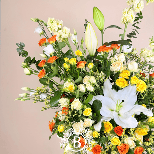 فازة زنبق المروج