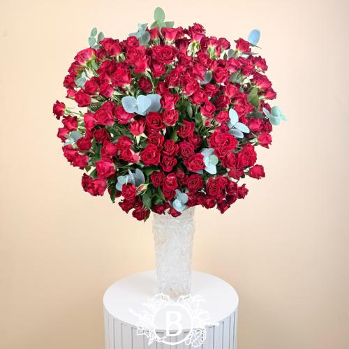 فازة بيبي روز أحمر