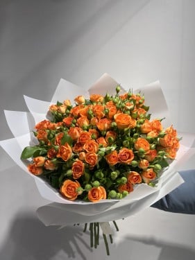 باقة تانجرين-B2