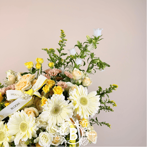 فازة سكاي بلو