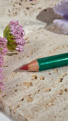 ليب لاينر شفاه مقاوم للماء من ماركة جلوريا بيوتي -...