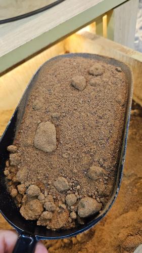 مسمنه شغل بيت 1 كيلو