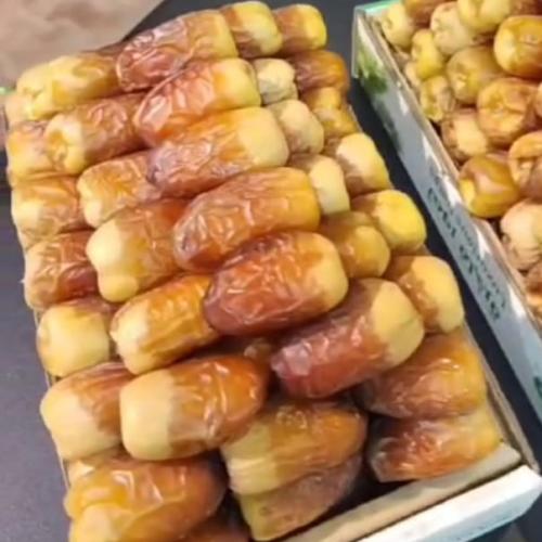 كرتون صقعي مطوق 2 كيلو