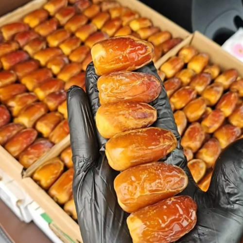 كرتون صقعي ملكي 4 كيلو