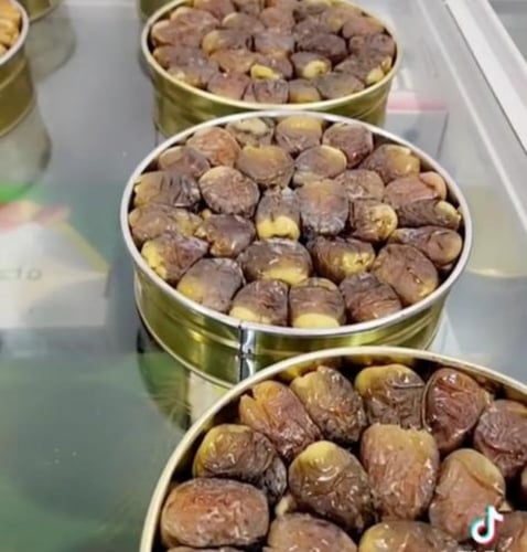 علبة شيشي رطب