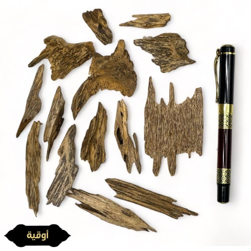 موروكي حي تايقر دبل سوبر