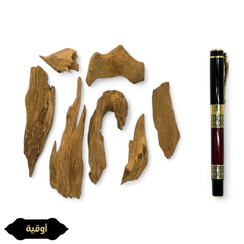 جابورا - سوبر + سوبر عالي