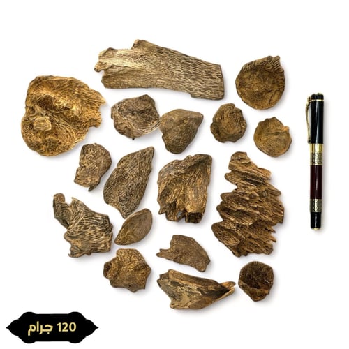 سيلاني آدمز تربل سوبر