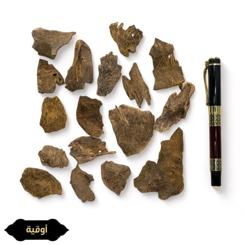 سيلاني آدمز دبل سوبر