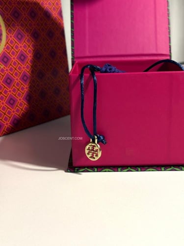 ملحقات توري بورش الماستر