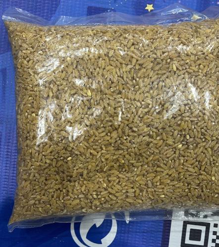 حب هريس عراقي الكيلو