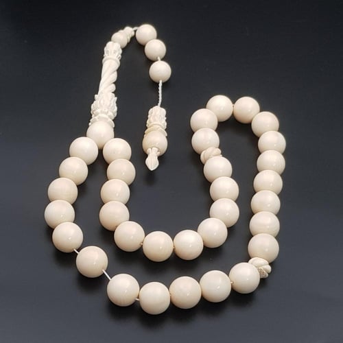 سبحة ناب الفيل طبيعي