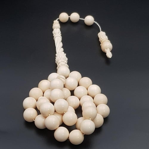 سبحة ناب الفيل طبيعي