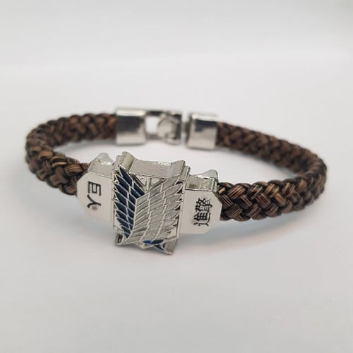 سوارة اتاك اون تايتن (هجوم العمالقة)