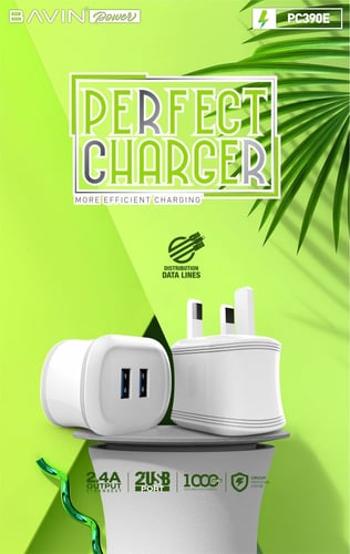 فيش كهرباء بمخرجين USB مع كيبل مجاني